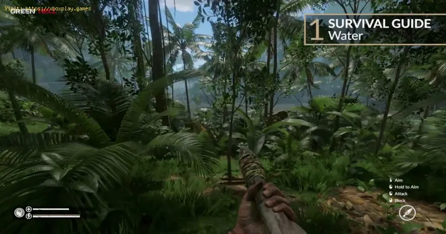 Green Hell: How to Stay Alive - Survival Guide