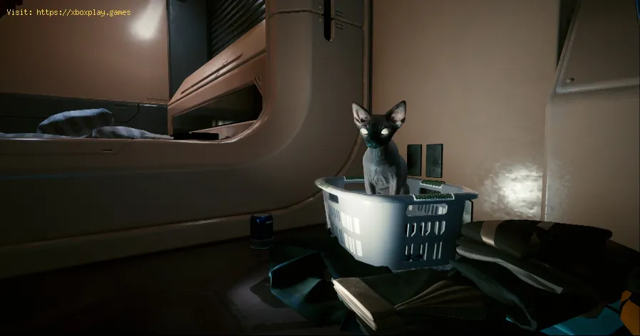 mordicchia la posizione del gatto in Cyberpunk 2077