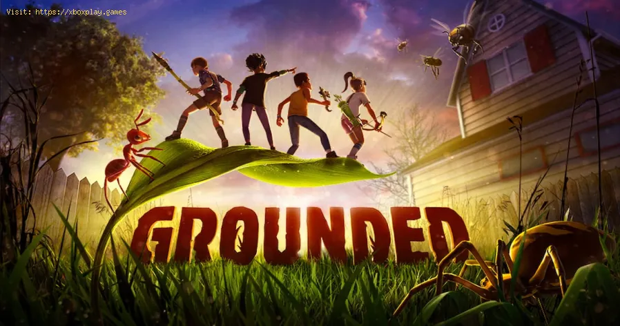 beheben Sie, dass Multiplayer in Grounded nicht funktioniert