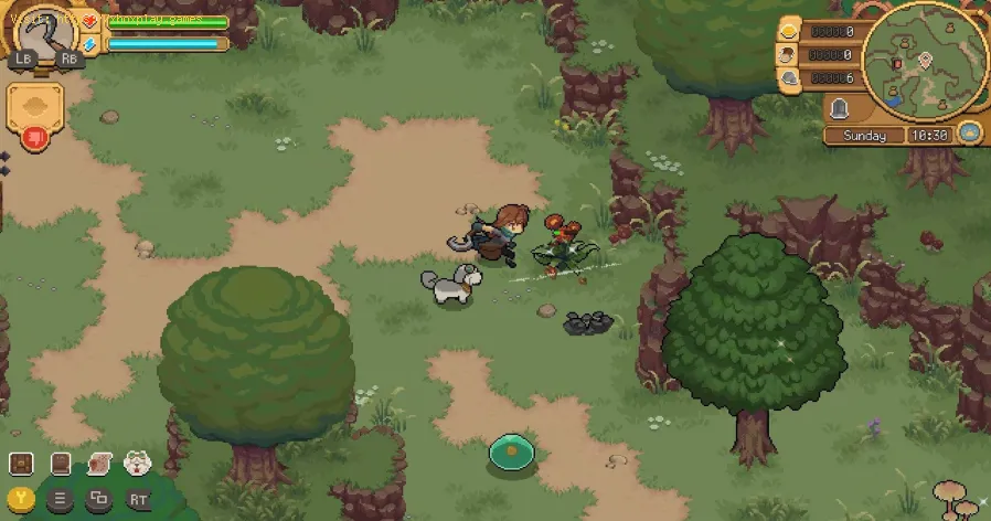 So speichern Sie Ihr Spiel in Potion Permit