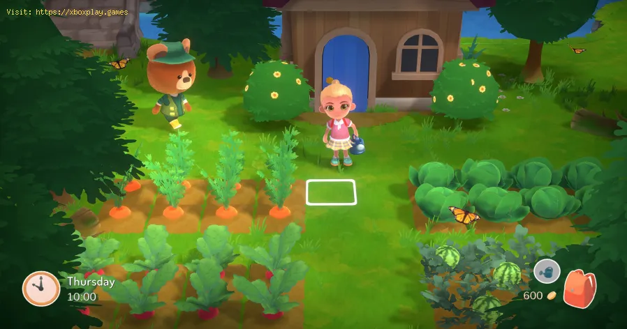 Hokko Life Villager Requests Guide