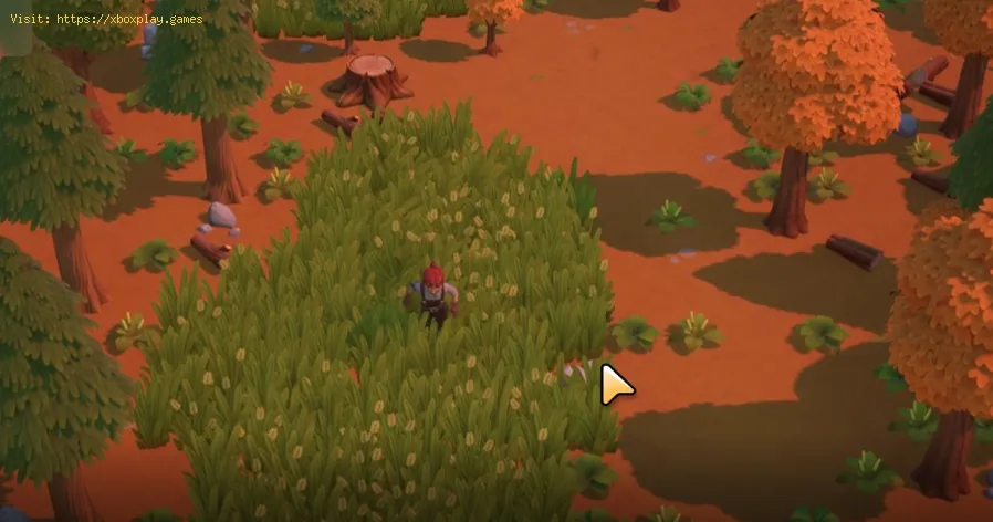 Localização de Morel em Coral Island