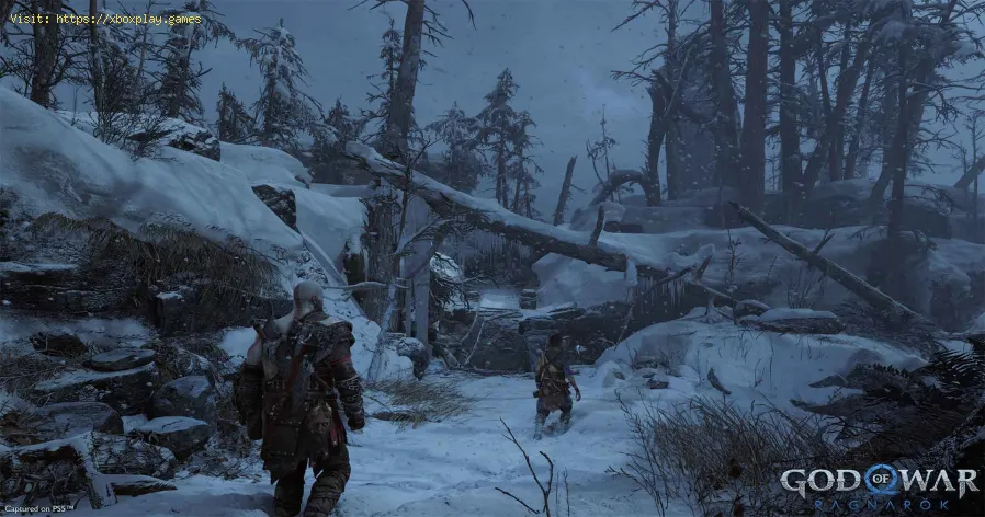 Dove trovare depositi di scorie in God of War Ragnarok