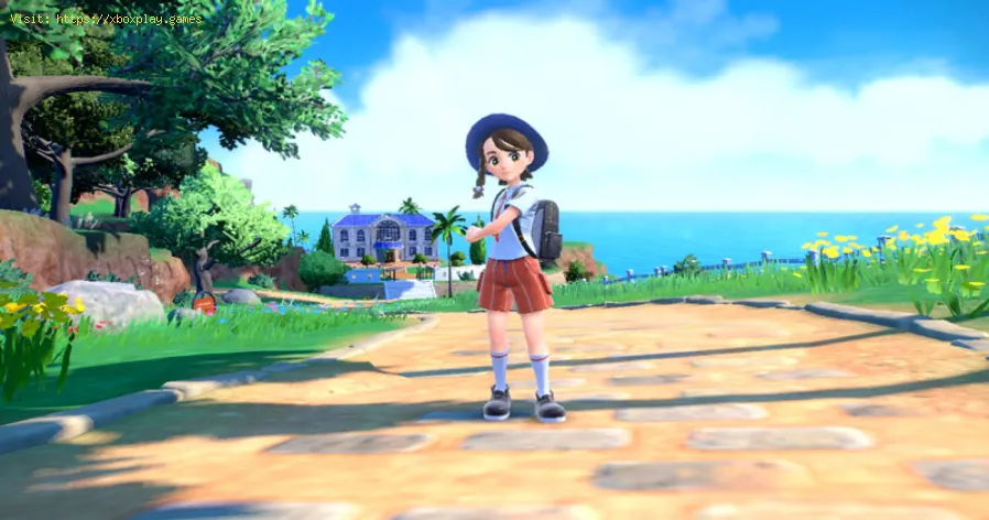 Wo finde ich Spiegelgras in Pokemon Scarlet Violet?