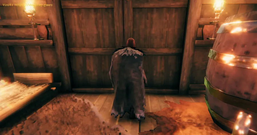 Wie bekomme ich den Federmantel in Valheim?