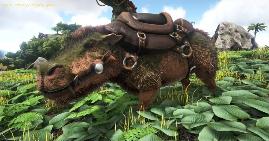 Cómo domar un Daeodon en Ark Survival Evolved