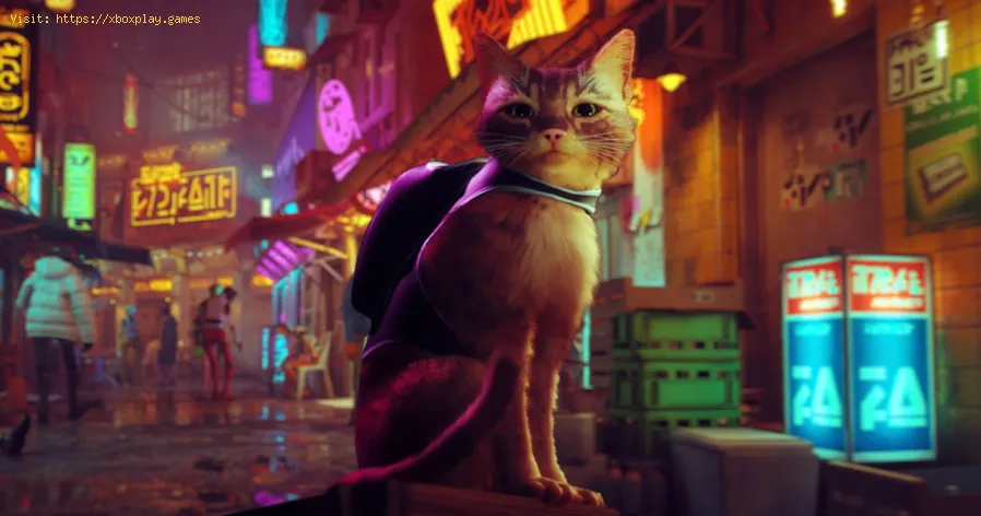 Fix Stray UE4-Hk Project Crash