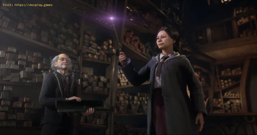 ändert man sein Haus in Hogwarts Legacy Wizarding World?