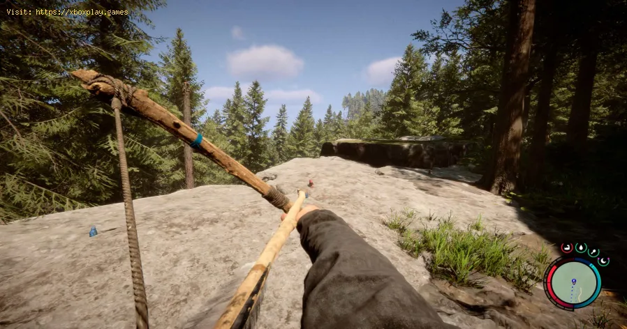 eine VIP-Keycard und eine Shotgun Rail in Sons of the Forest