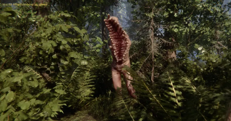 How to Build on Water in Sons of the Forest
