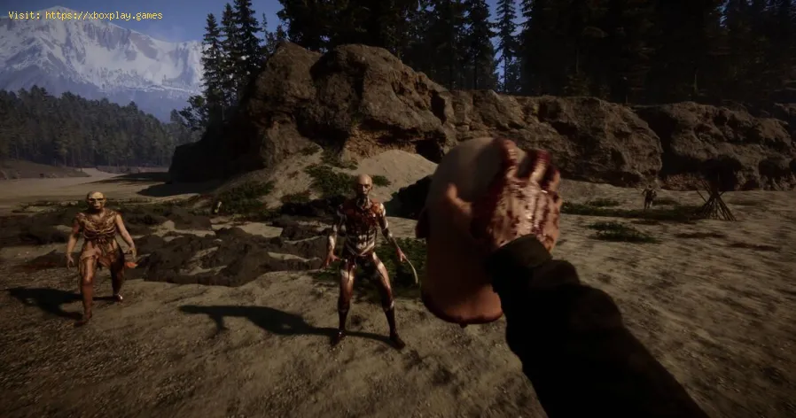 Wie ändere ich die Spielsprache in Sons of the Forest?
