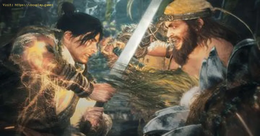 Wo Long Fallen Dynasty-Netzwerkfehler behoben