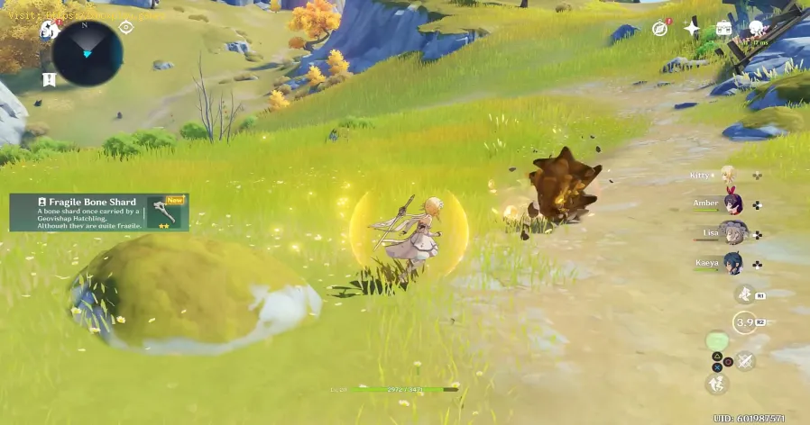 find Fragile Bone Shards in Genshin Impact