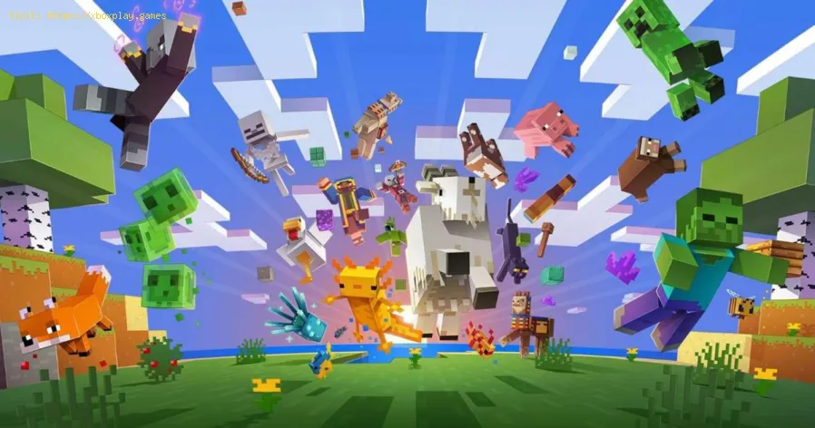 fix Minecraft Non sei nella whitelist per questo server