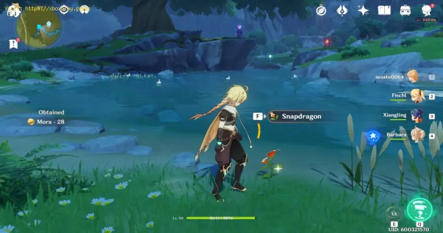 Como encontrar e obter Snapdragon em Genshin Impact