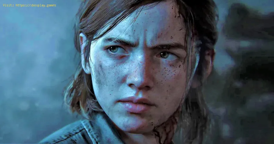 Korrigieren Sie die schwarze Textur von The Last of Us 1