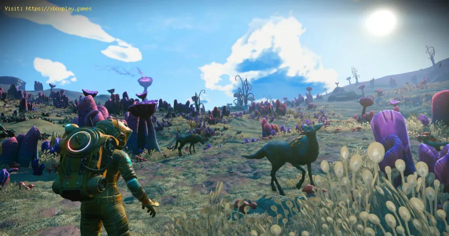 Dónde encontrar los barcos estrellados de No Man's Sky
