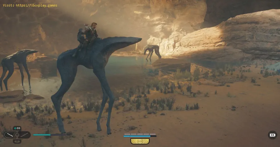 Dove trovare il giardiniere in Star Wars Jedi Survivor