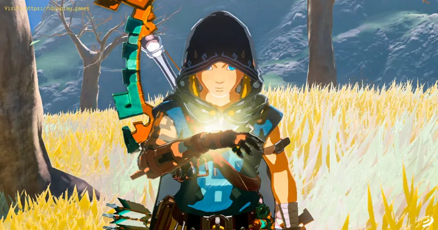 Get Zelda Tears of the Kingdom Hip Pack
