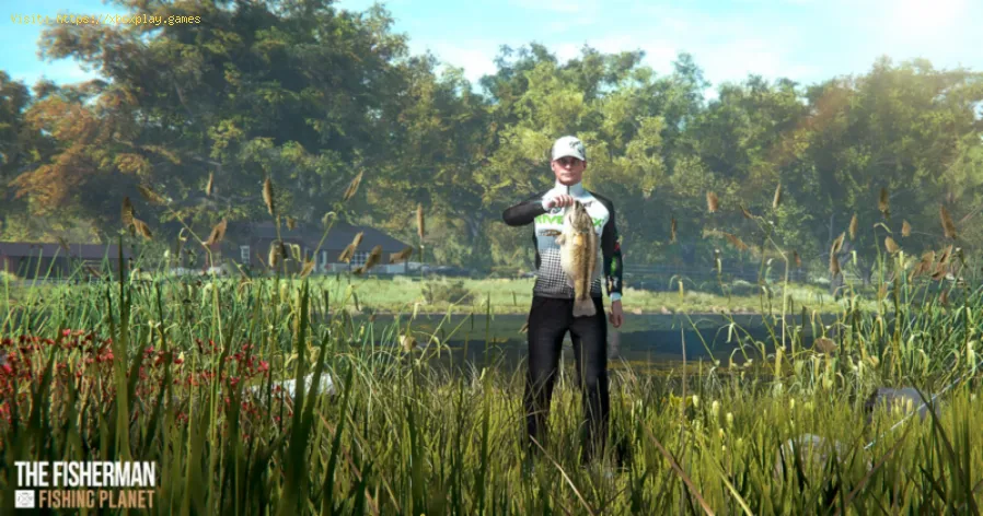 The Fisherman Fishing Planet: How to Level Up quickly