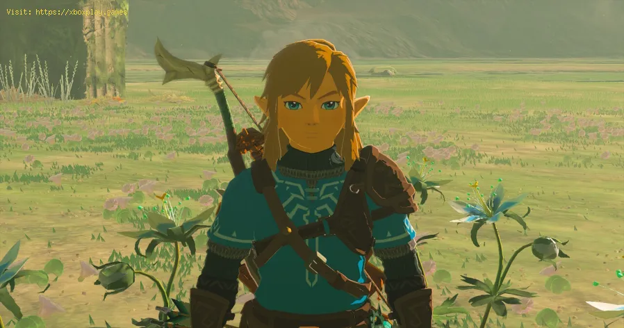 saia das profundezas em Tears of the Kingdom
