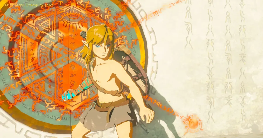 obter sticks de direção em Tears of the Kingdom