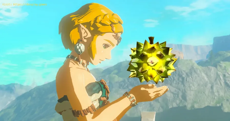 encontrar a Molduga en Tears Of The Kingdom