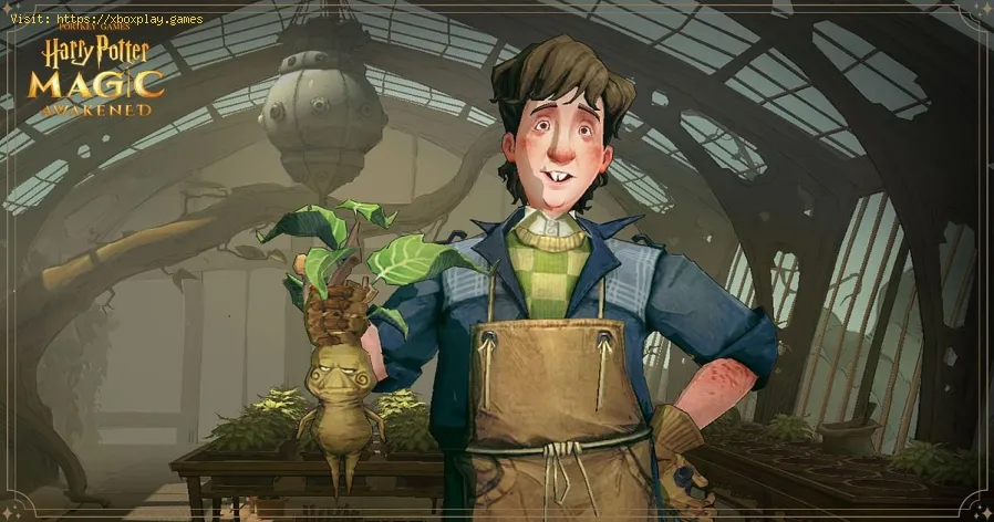 obtenir de l'or dans Harry Potter Magic Awakened