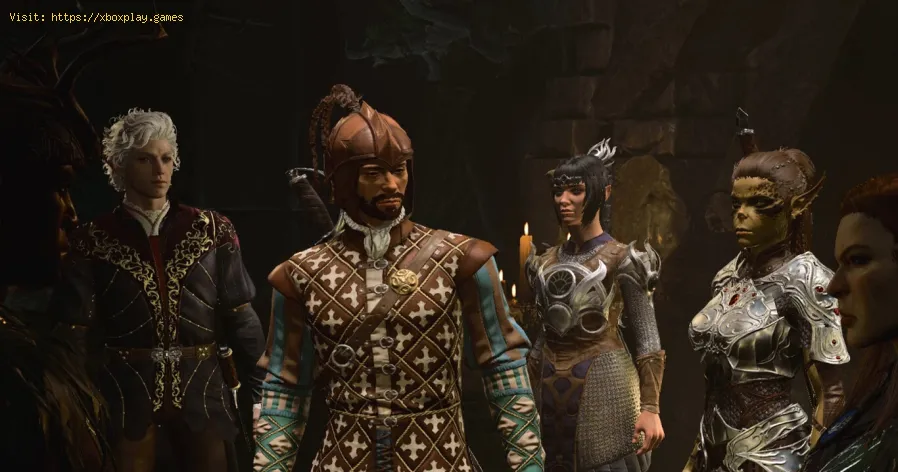 Baldur's Gate 3 で犬を入手する方法-1