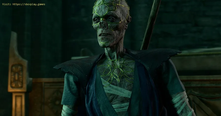 parla con i morti in Baldurs Gate 3