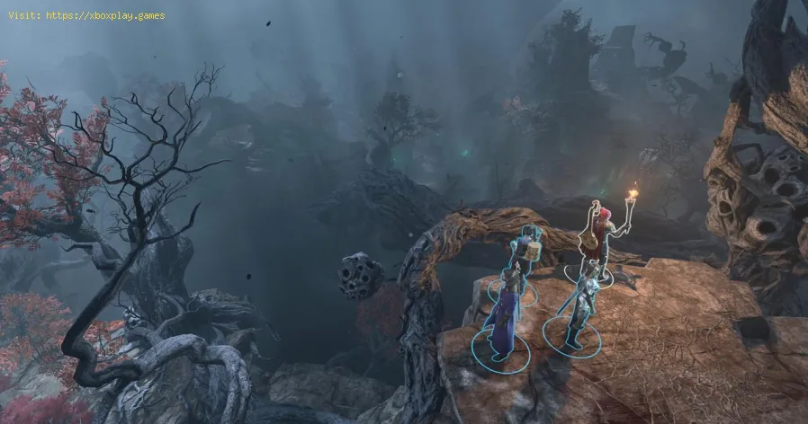 get the Githyanki Egg in Baldur's Gate 3