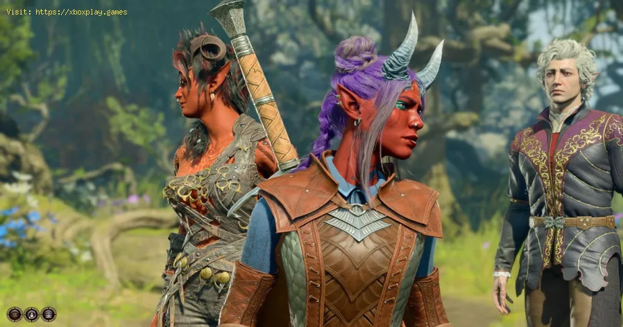todos os membros do grupo em Baldur's Gate 3