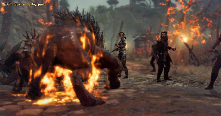 Behebung des Fehlers „BG3 Invisible Enemies“.