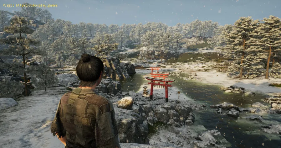  Hunt in Sengoku Dynasty