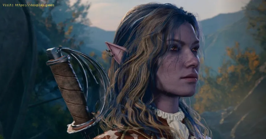 riparare il codice di errore Baldur's Gate 3 516
