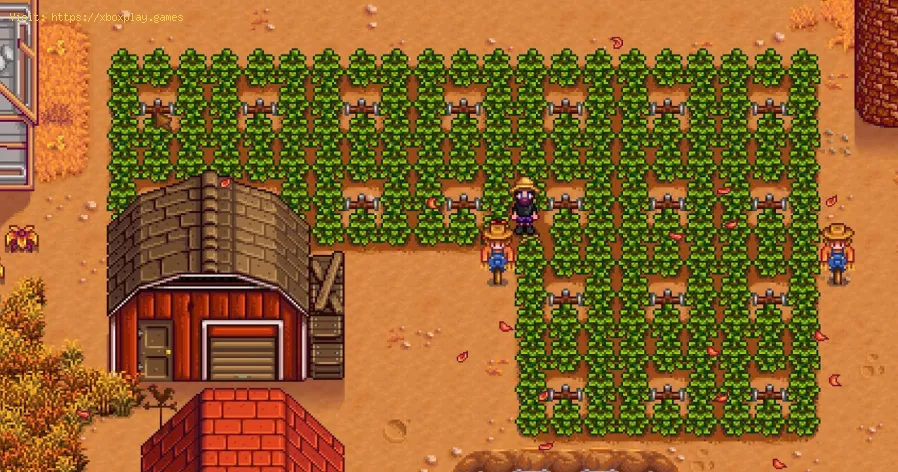 améliorez votre maison de Stardew Valley
