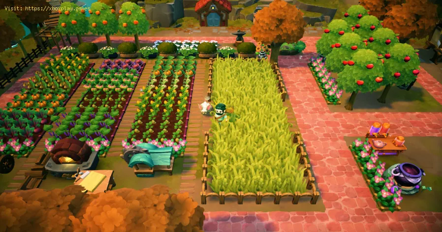Récolter rapidement de l'XP dans Fae Farm