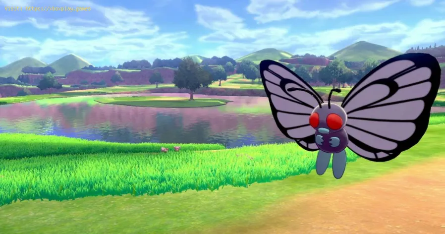 Pokemon Sword vs Pokemon Shield: todo lo que necesitas saber