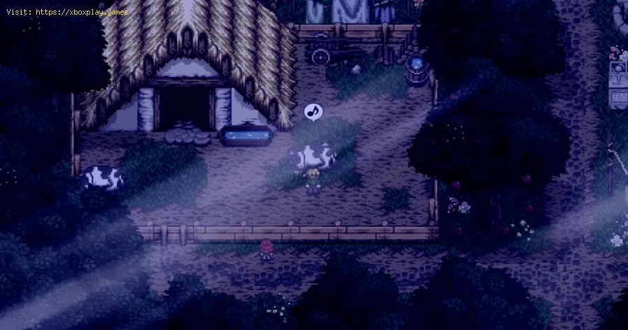 Fish in Harvest Island