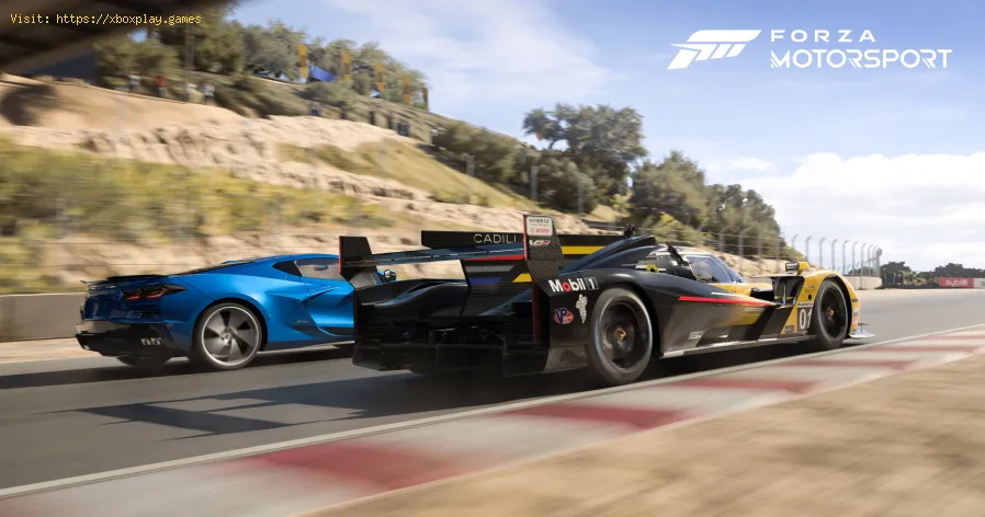 nell'applicazione dell'aggiornamento su Forza Motorsport