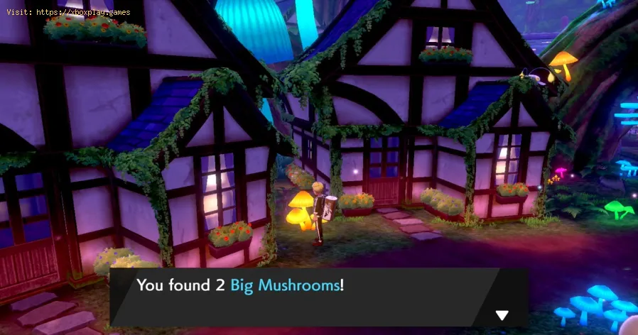 Pokemon SS: Kleidung mit einem feurigen Design bekommt