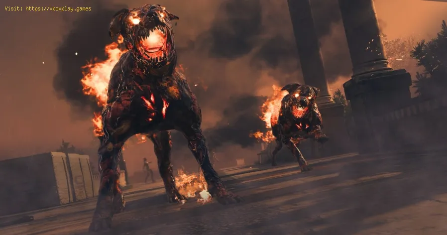 Motocicletta che brucia sangue in MW3 Zombies