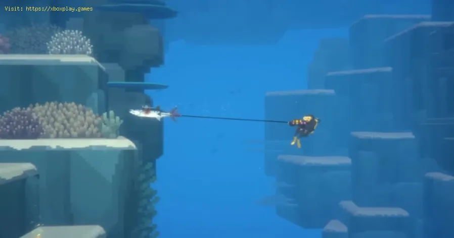 Finden Sie Röhrenkorallen in Dave The Diver