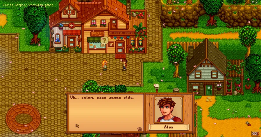código de invitación de Stardew Valley no se muestra