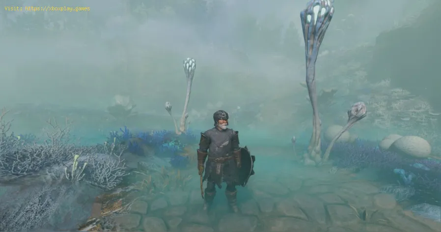Guía de elaboración de rastrillos para Enshrouded