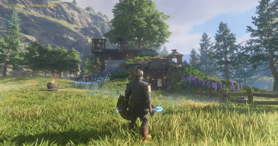 corrigir Enshrouded o ecrã completo não funciona