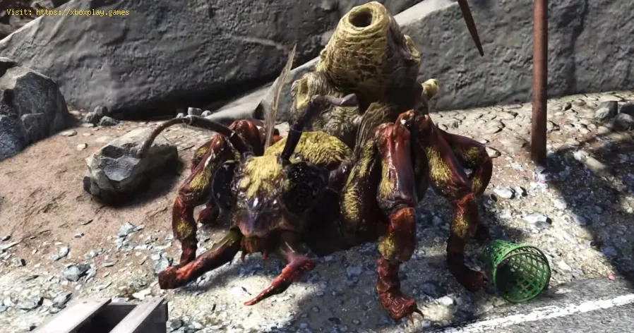 Fallout 76: Honigbiester finden - Ultimativer Leitfaden