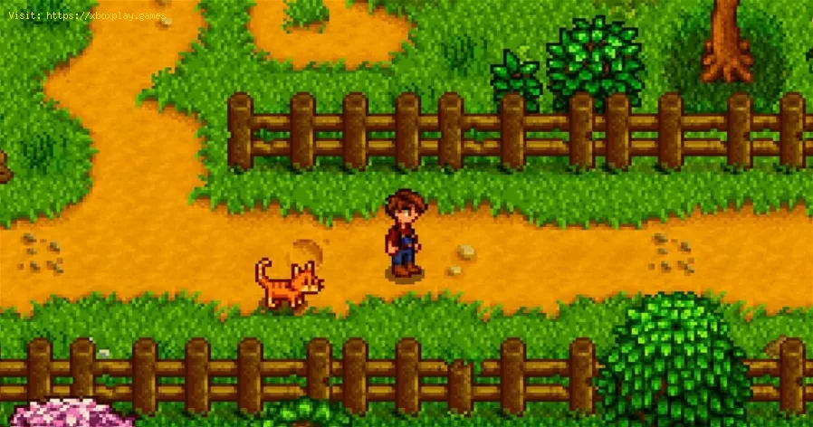 alterar o nome do seu animal de estimação em Stardew Valley