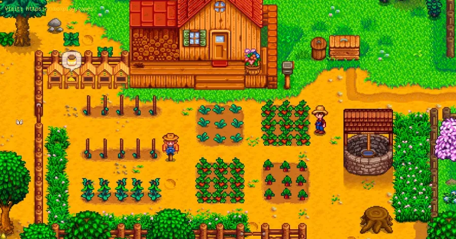 encontrar cajas misteriosas en Stardew Valley