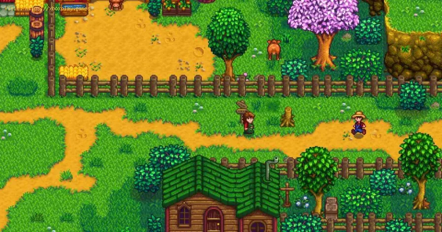 Stardew Valley : Emplacement du Fizz
